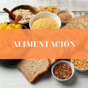 Alimentación